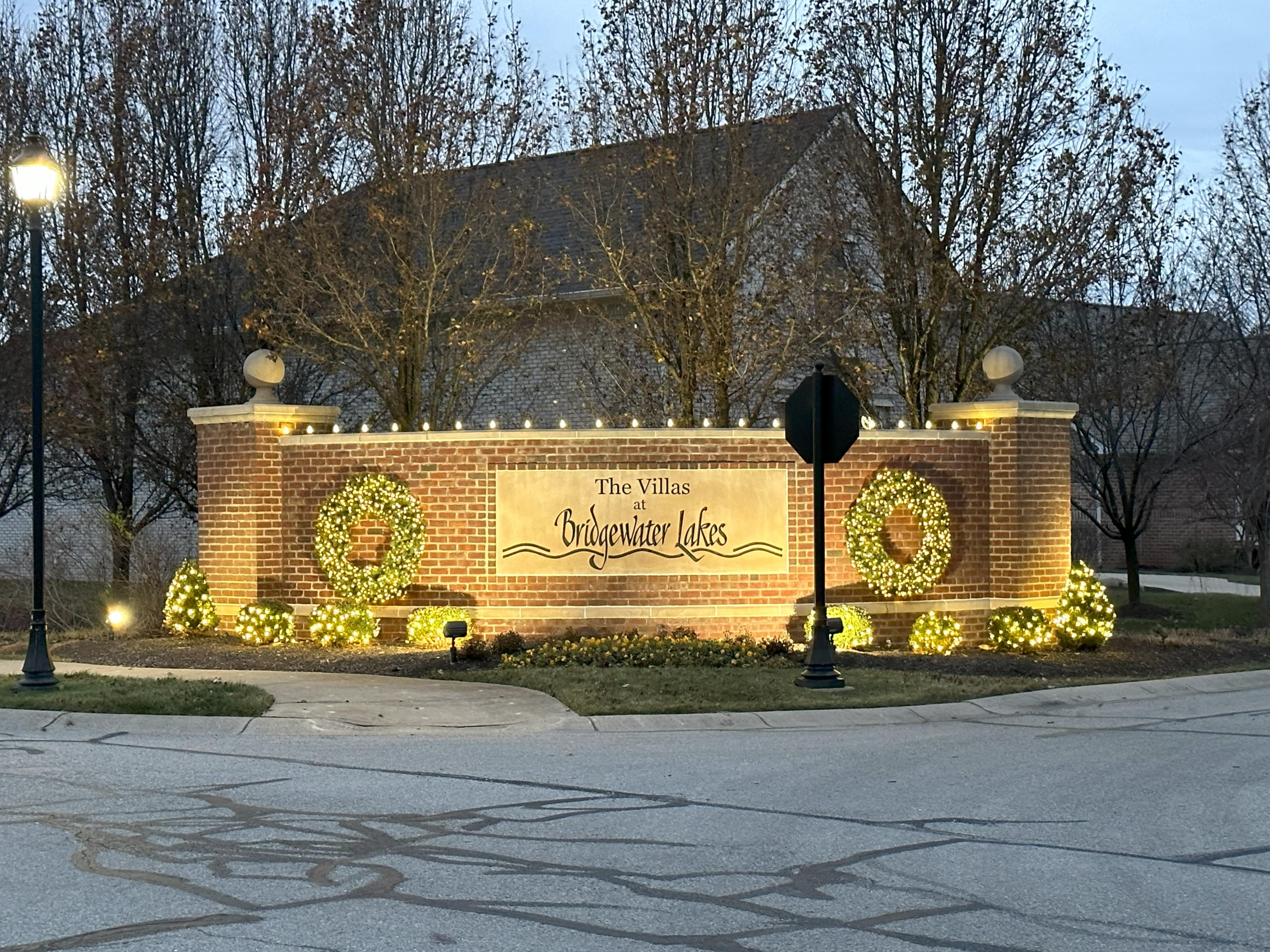 Tree and Shrub Christmas Lighting for Restaurants in Carmel, IN