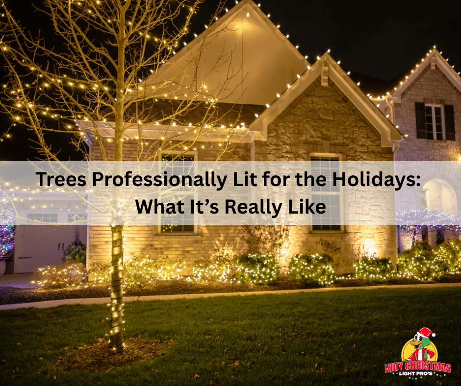 Trees Professionally Lit for the Holidays: What It’s Really Like
